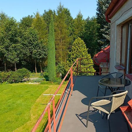 Apartman Za Lesem Červený Kostelec 外观 照片