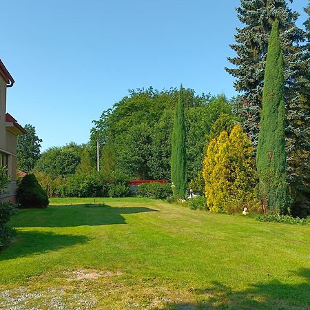 Apartman Za Lesem Červený Kostelec 外观 照片