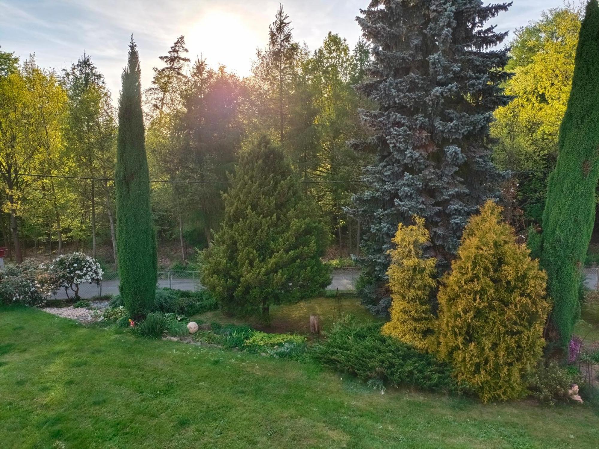 Apartman Za Lesem Červený Kostelec 外观 照片